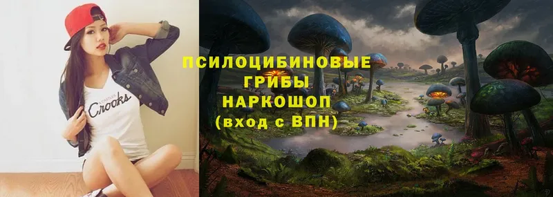 Галлюциногенные грибы Psilocybe  Ермолино 